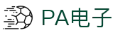 PA电子·(中国区)官方网站